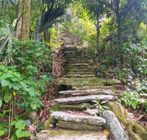 Kolumbien Natur: Steintreppe